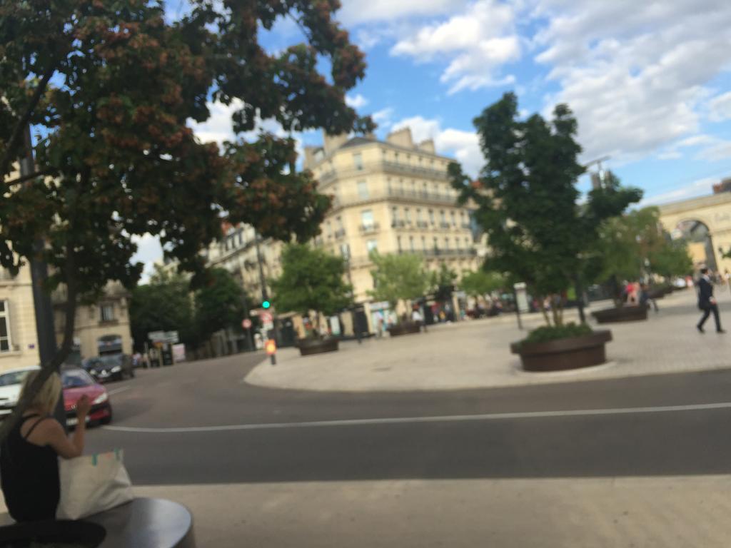 Apartment Ideal Art Deco Compris Un Parking Prive Securise Darcy Liberte Centre Gare-ville