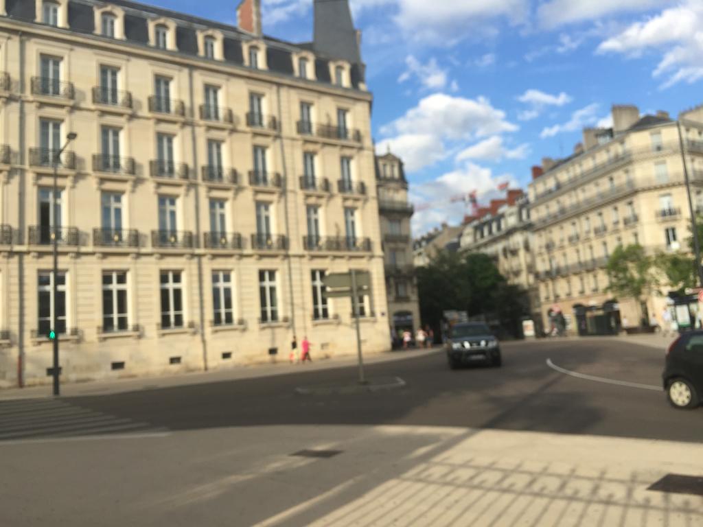 Apartment Ideal Art Deco Compris Un Parking Prive Securise Darcy Liberte Centre Gare-ville